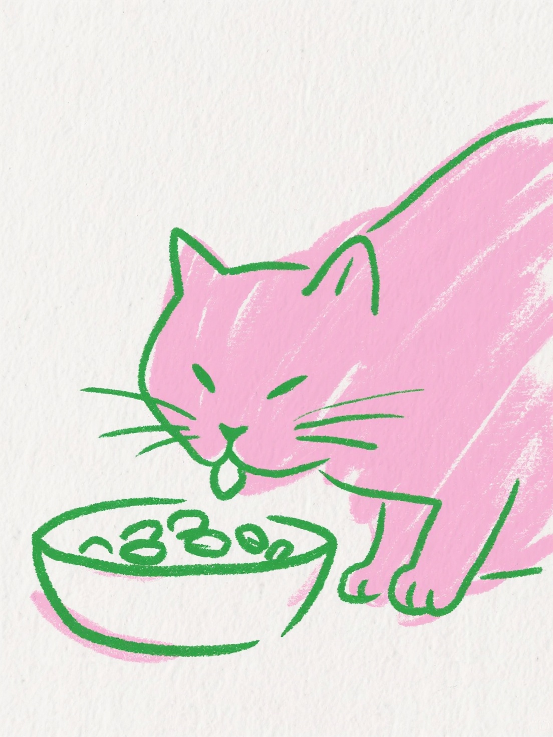 Understanding Your Cat’s Eating Habits: A Thoughtful Guide for First-time Cat Parents