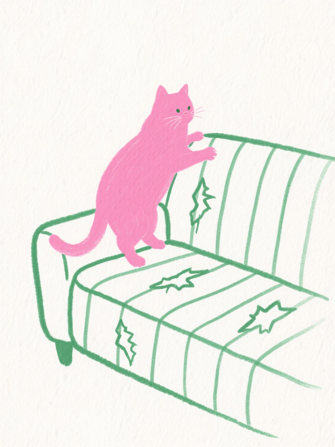 Is Your Cat Destroying the House? 5 Proven Ways to Stop Destructive Scratching