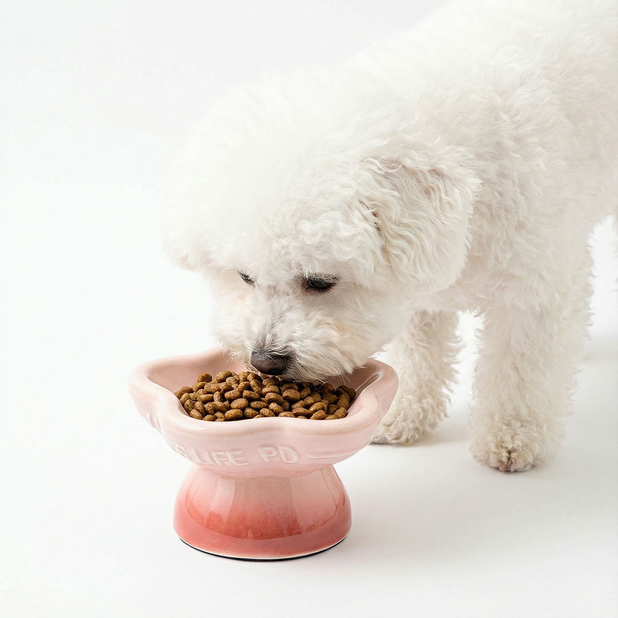 Gradient Elevated Ceramic Pet Bowl - Pink