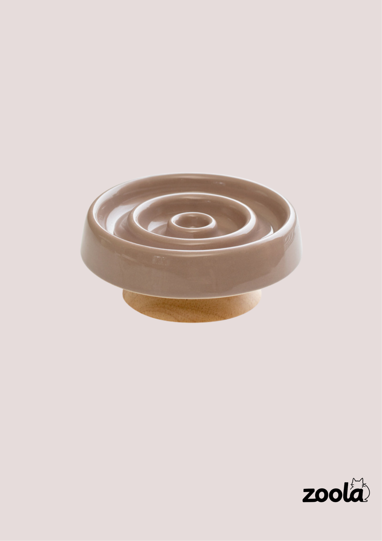 Raised Ceramic Slow Feeder Bowl