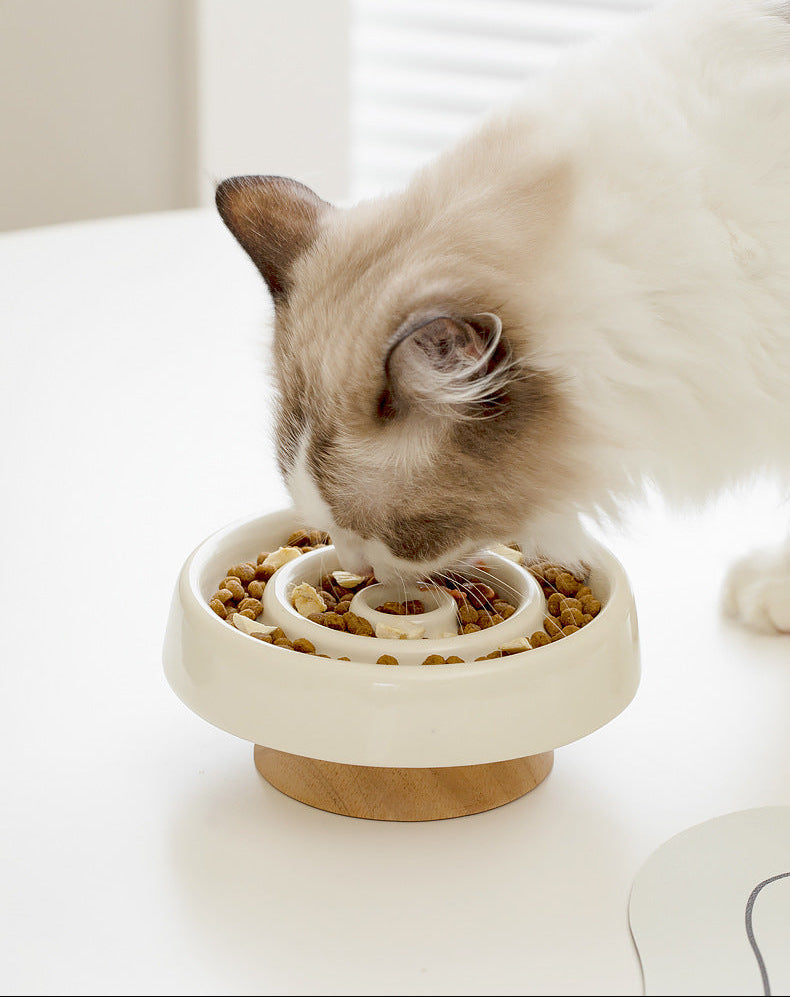 Raised Ceramic Slow Feeder Dog & Cat Food Bowl