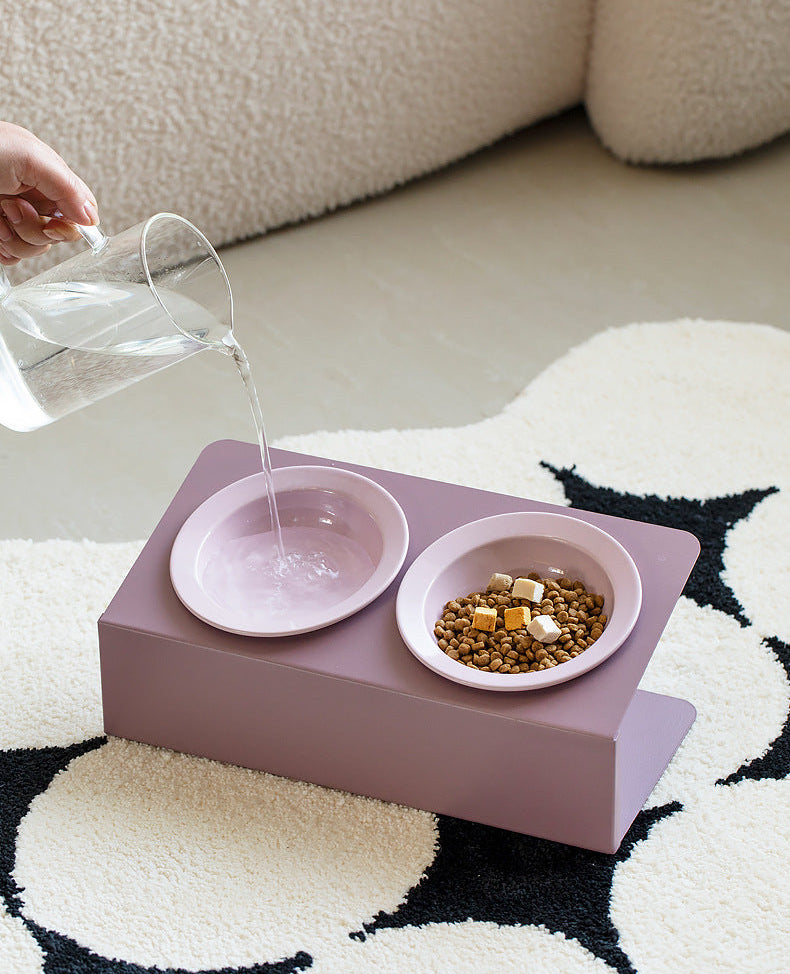 Elevated Tilted Double Ceramic Pet Bowls with Adjustable Iron Stand